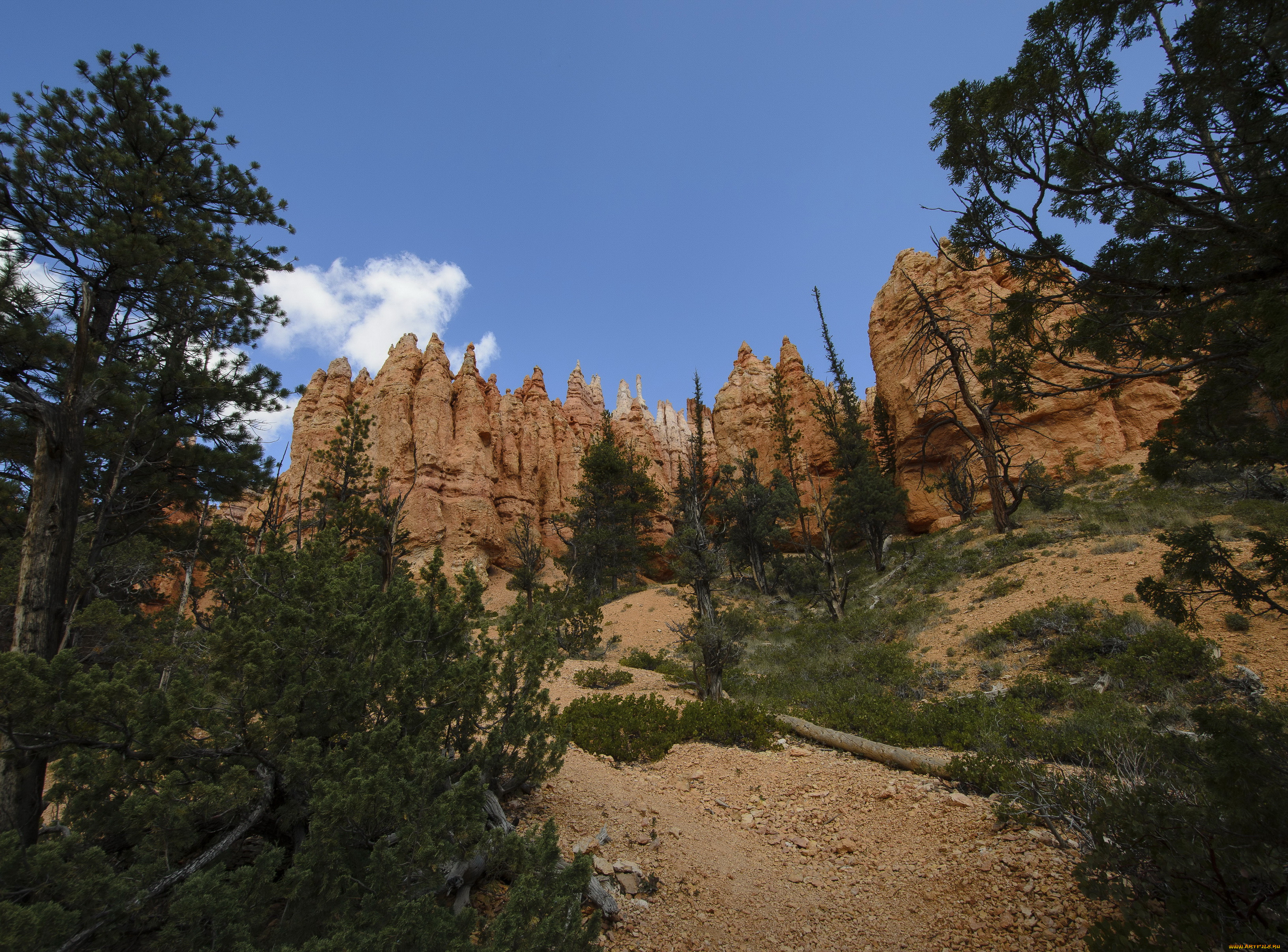 bryce, utah, us, , , 